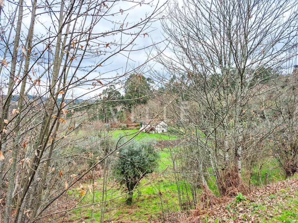 Moradia T0 para Venda em São Miguel do Mato Foto 27