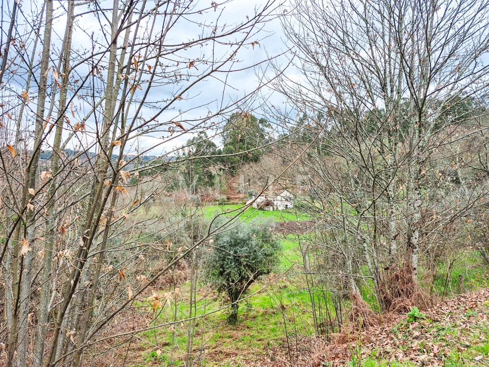 Moradia T0 para Venda em São Miguel do Mato Foto 26