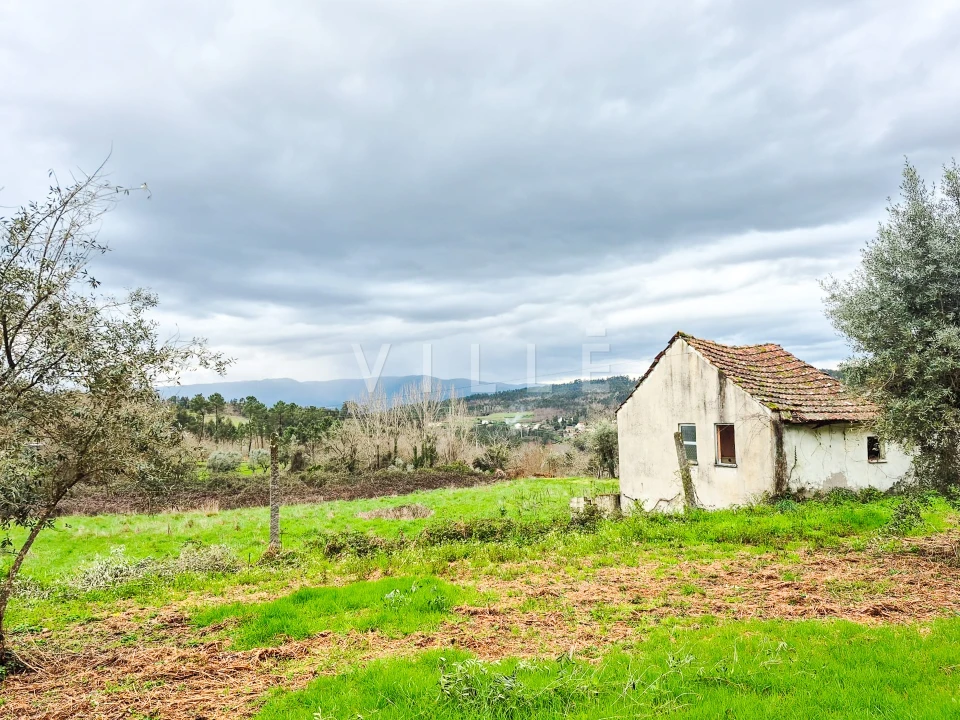 Moradia T0 para Venda em São Miguel do Mato Foto 19