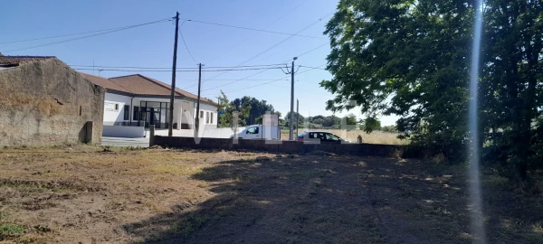 Terreno para Venda em Bustos, Troviscal e Mamarrosa