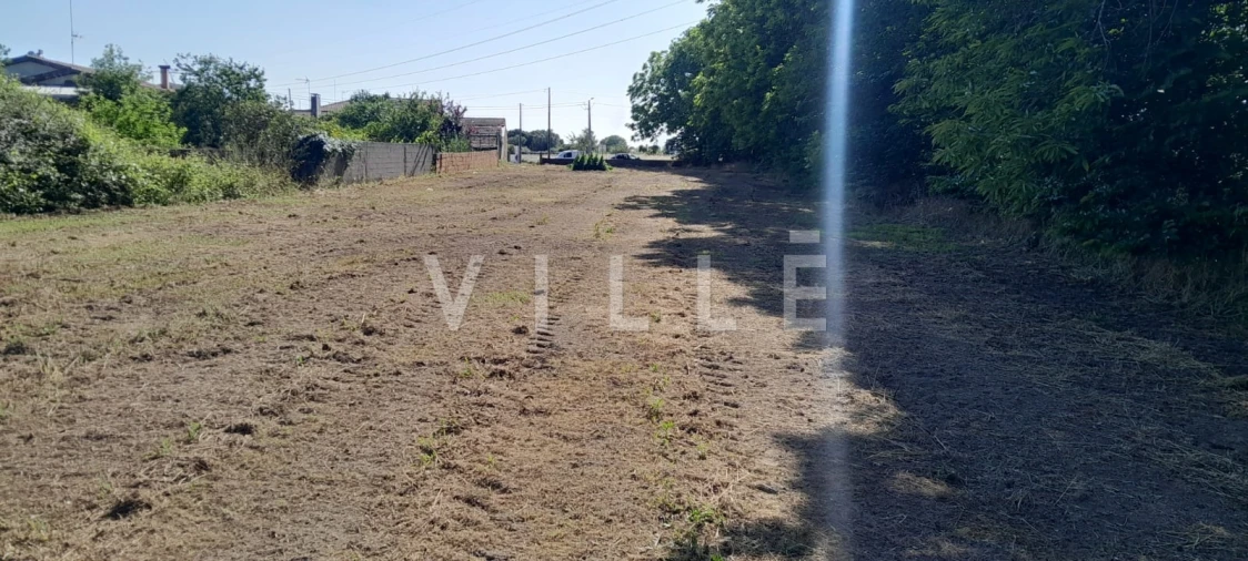 Terreno para Venda em Bustos, Troviscal e Mamarrosa Foto 5