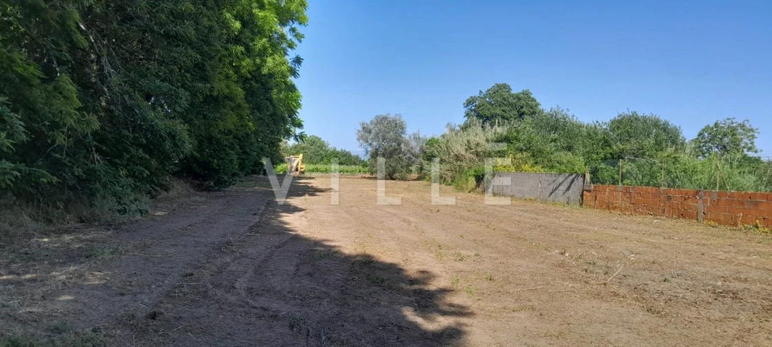Terreno para Venda em Bustos, Troviscal e Mamarrosa Foto 3