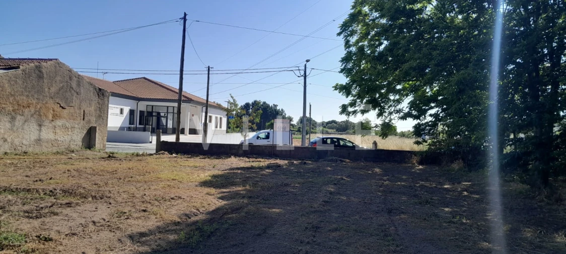 Terreno para Venda em Bustos, Troviscal e Mamarrosa Foto 2