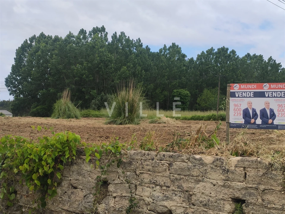 Terreno para Venda em Bustos, Troviscal e Mamarrosa Foto 14