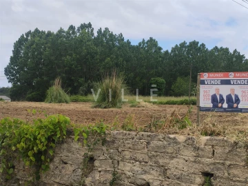 Terreno para Venda em Bustos, Troviscal e Mamarrosa