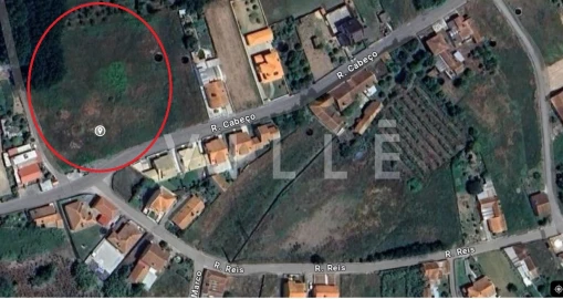 Terreno para Venda em Bustos, Troviscal e Mamarrosa