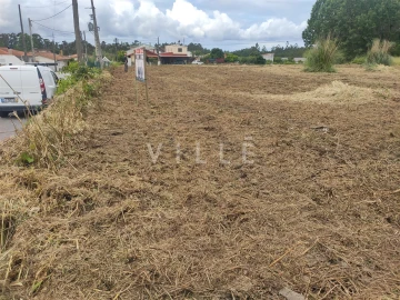 Terreno para Venda em Bustos, Troviscal e Mamarrosa