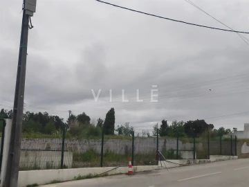 Terreno para Venda em Bustos, Troviscal e Mamarrosa