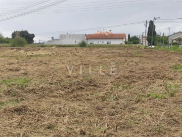 Terreno para Venda em Bustos, Troviscal e Mamarrosa