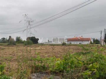 Terreno para Venda em Bustos, Troviscal e Mamarrosa