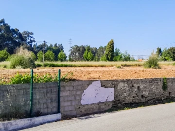 Terreno para Venda em Bustos, Troviscal e Mamarrosa