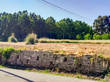 Terreno para Venda em Bustos, Troviscal e Mamarrosa