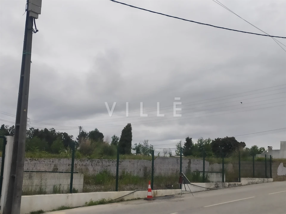 Terreno para Venda em Bustos, Troviscal e Mamarrosa Foto 2