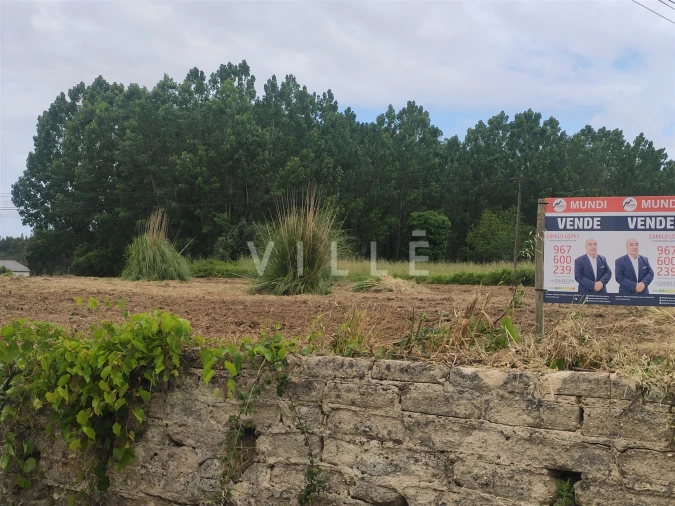 Terreno para Venda em Bustos, Troviscal e Mamarrosa Foto 14