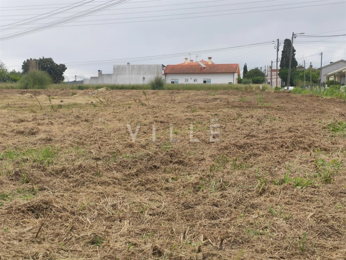 Terreno para Venda em Bustos, Troviscal e Mamarrosa Foto 4