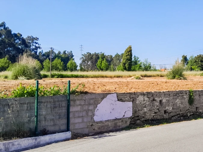 Terreno para Venda em Bustos, Troviscal e Mamarrosa Foto 7