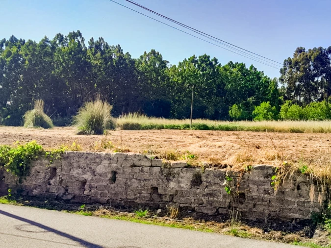 Terreno para Venda em Bustos, Troviscal e Mamarrosa Foto 9