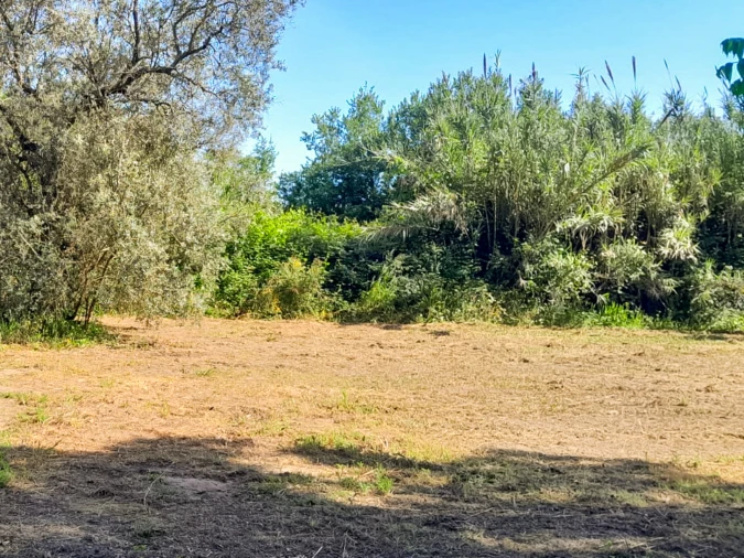 Terreno para Venda em Bustos, Troviscal e Mamarrosa Foto 13