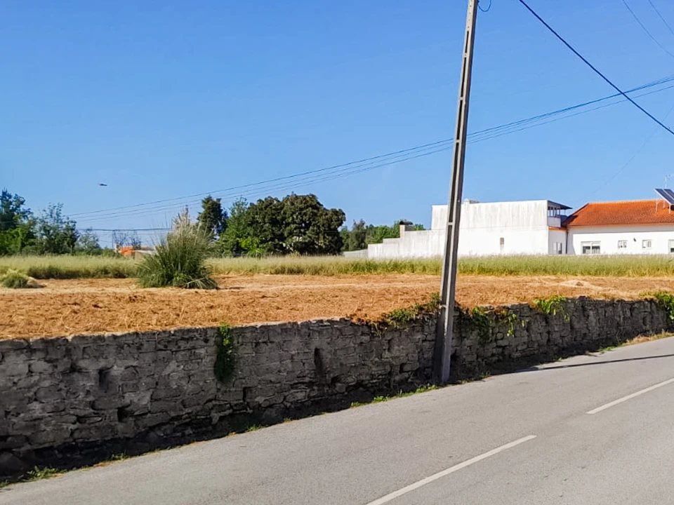 Terreno para Venda em Bustos, Troviscal e Mamarrosa Foto 10