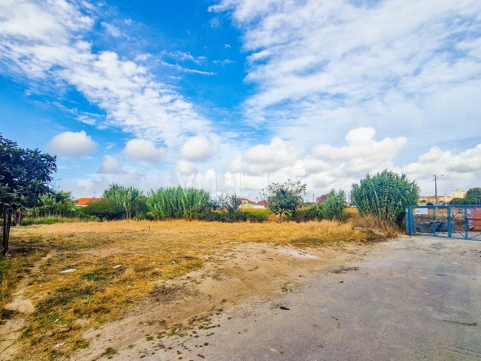 Terreno para Venda em Glória e Vera Cruz Foto 4