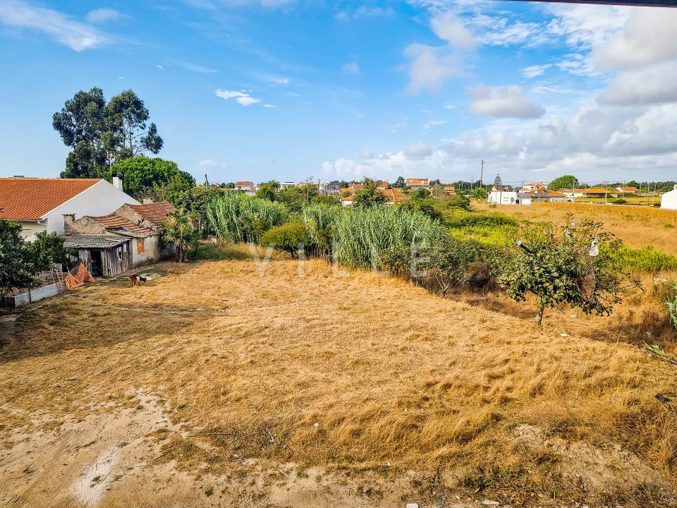 Terreno para Venda em Glória e Vera Cruz Foto 5