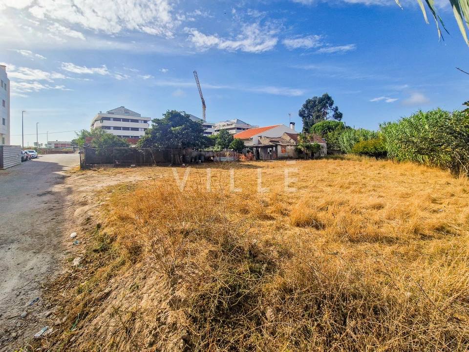 Terreno para Venda em Glória e Vera Cruz Foto 3