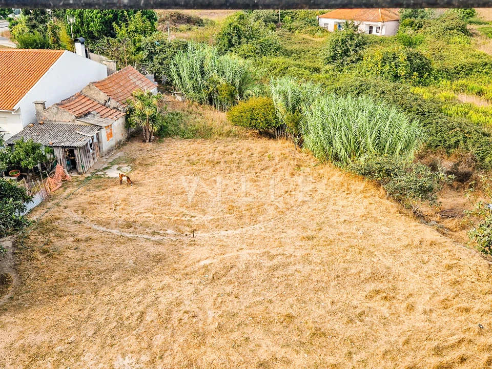 Terreno para Venda em Glória e Vera Cruz Foto 6