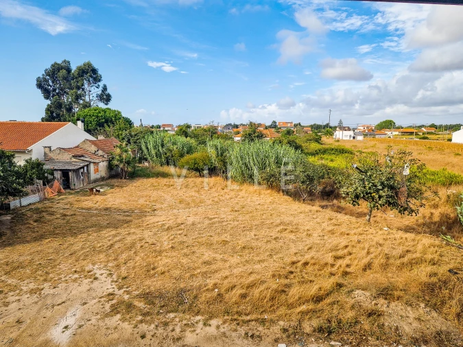 Terreno para Venda em Glória e Vera Cruz Foto 5