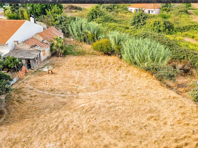 Terreno para Venda em Glória e Vera Cruz Foto 6