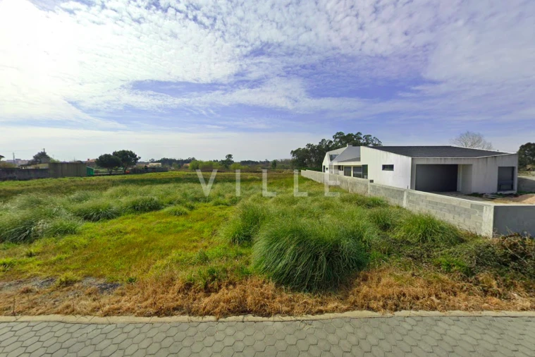 Terreno para Venda em Vagos e Santo António Foto 3