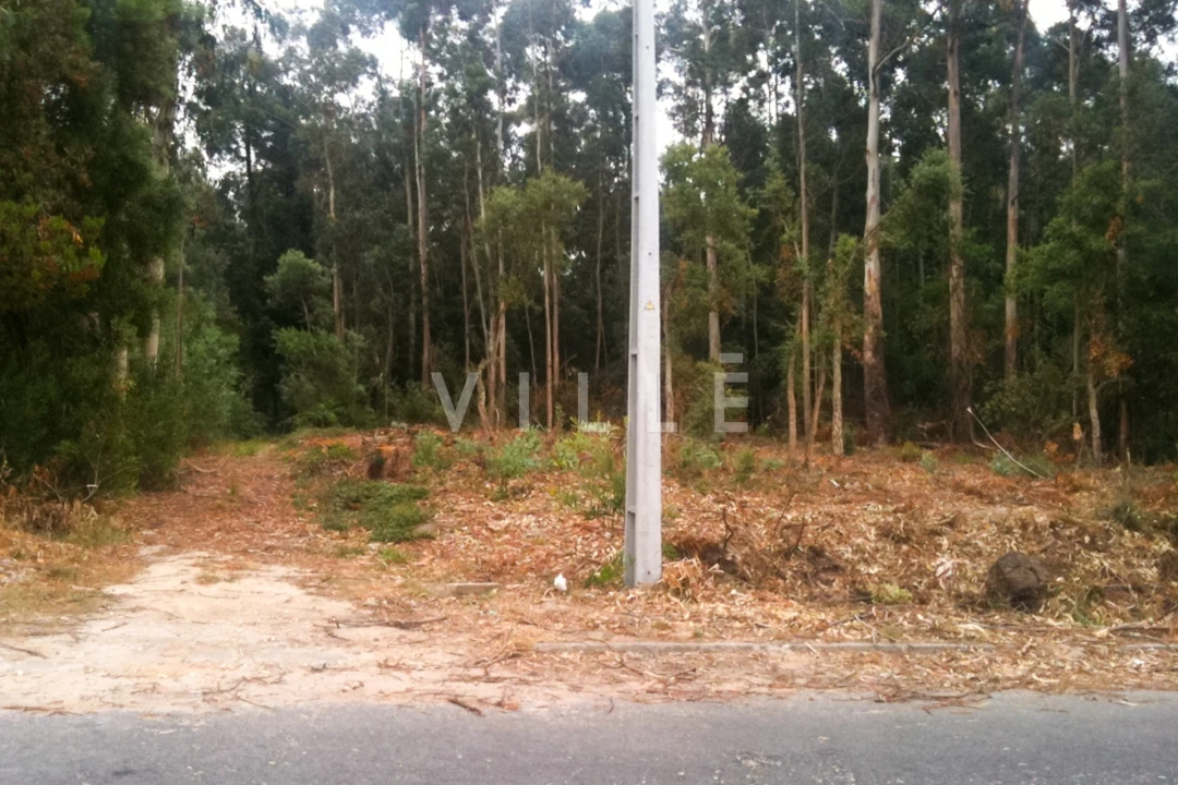 Terreno para Venda em Vagos e Santo António Foto 13
