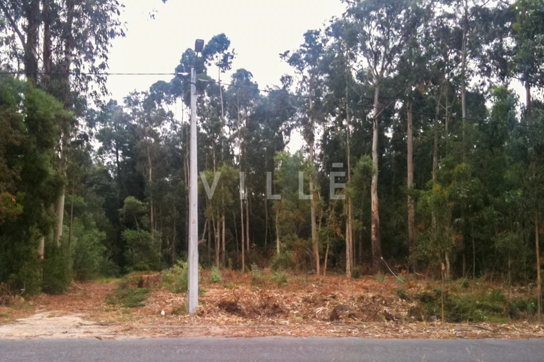 Terreno para Venda em Vagos e Santo António Foto 12
