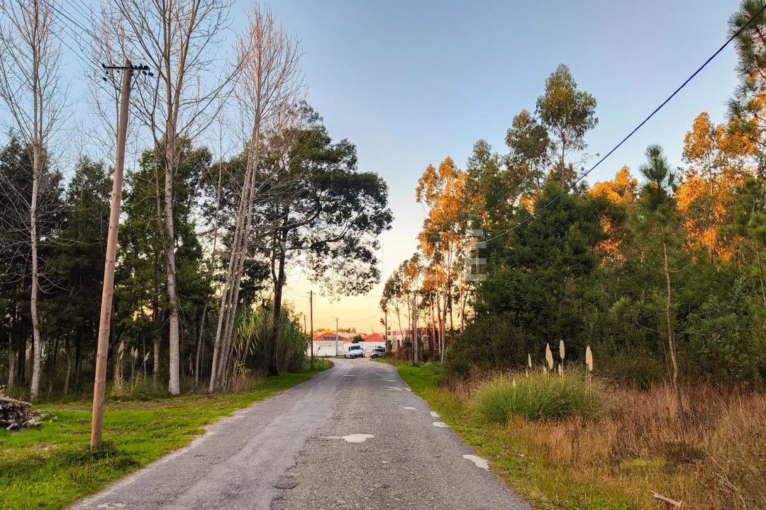 Terreno para Venda em Vagos e Santo António Foto 11