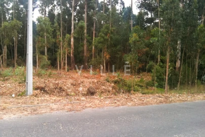 Terreno para Venda em Vagos e Santo António