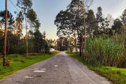 Terreno para Venda em Vagos e Santo António