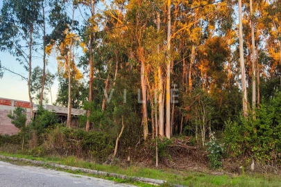 Terreno para Venda em Vagos e Santo António