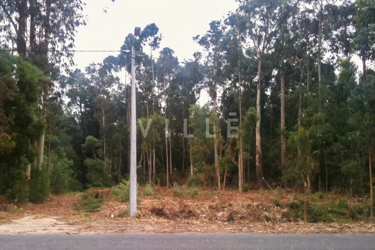 Terreno para Venda em Vagos e Santo António Foto 12