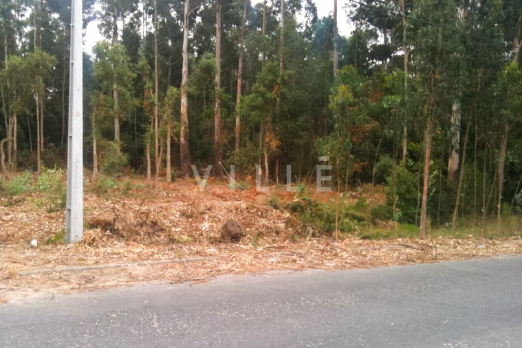 Terreno para Venda em Vagos e Santo António Foto 14