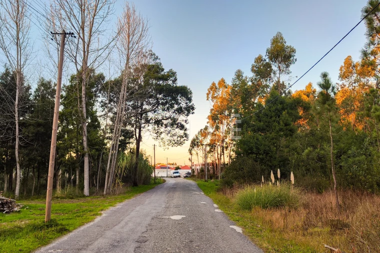 Terreno para Venda em Vagos e Santo António Foto 11