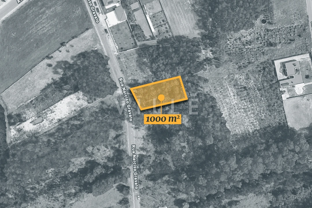 Terreno para Venda em Vagos e Santo António Foto 6