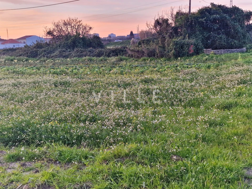 Terreno para Venda em Aradas Foto 2