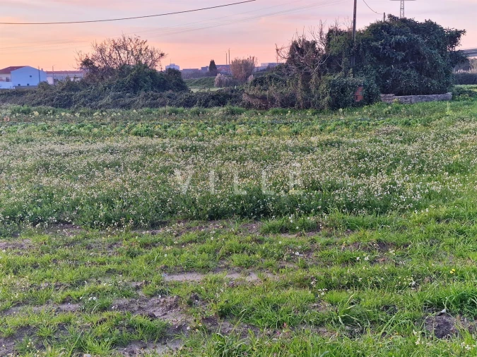 Terreno para Venda em Aradas Foto 4