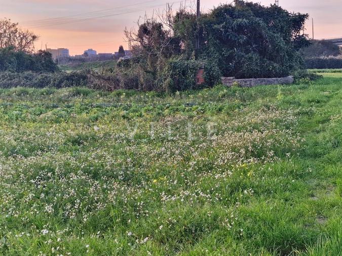 Terreno para Venda em Aradas Foto 5