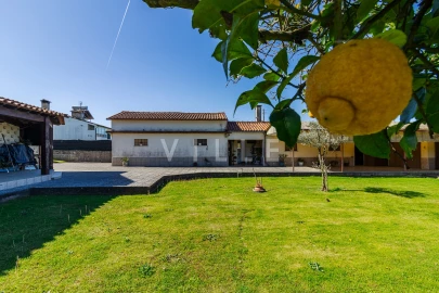 Moradia T3 para Venda em Branca