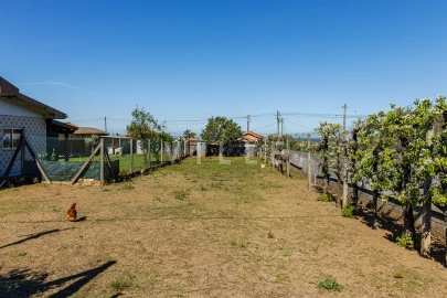Moradia T3 para Venda em Branca