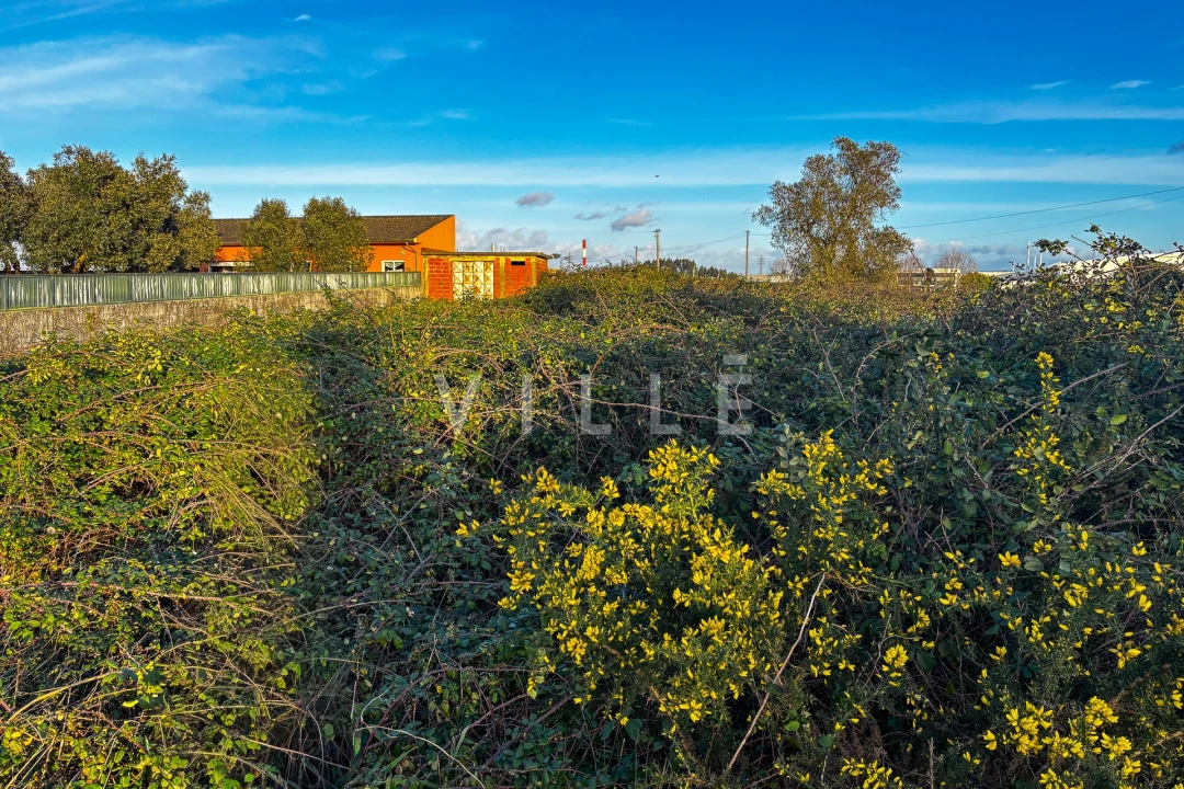 Terreno para Venda em Cacia Foto 10
