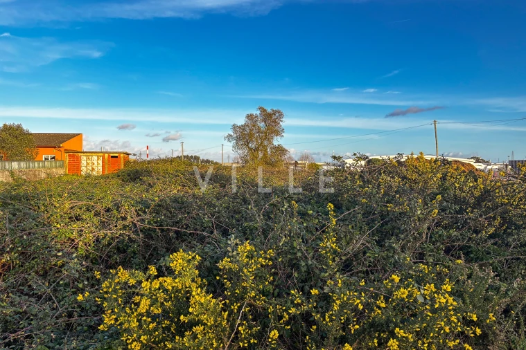 Terreno para Venda em Cacia Foto 11