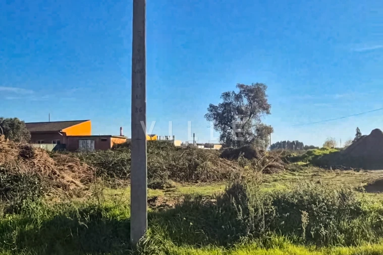 Terreno para Venda em Cacia Foto 12