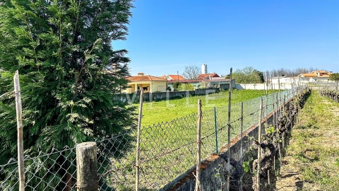 Terreno para Venda em Oliveira do Bairro