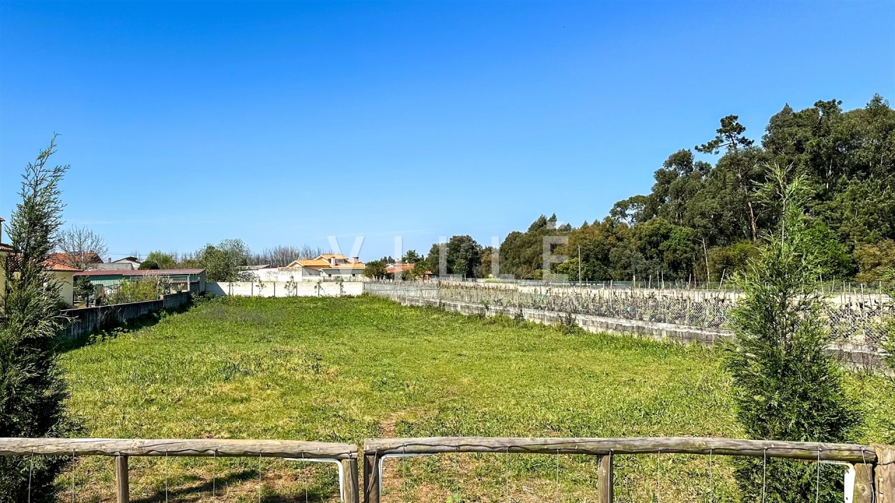Terreno para Venda em Oliveira do Bairro Foto 2
